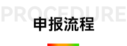申报流程