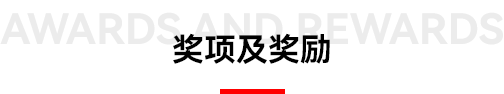 奖项设置